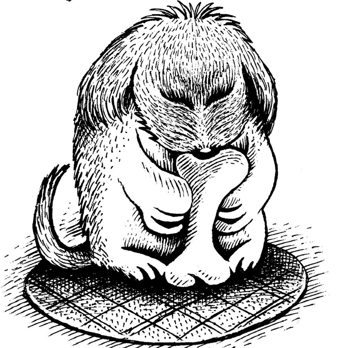 Оптические иллюзии для детей