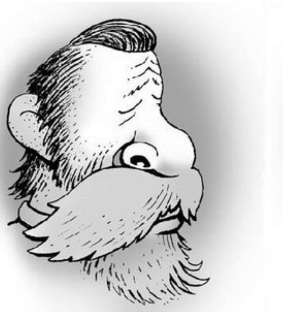 Обман зрения перевертыши