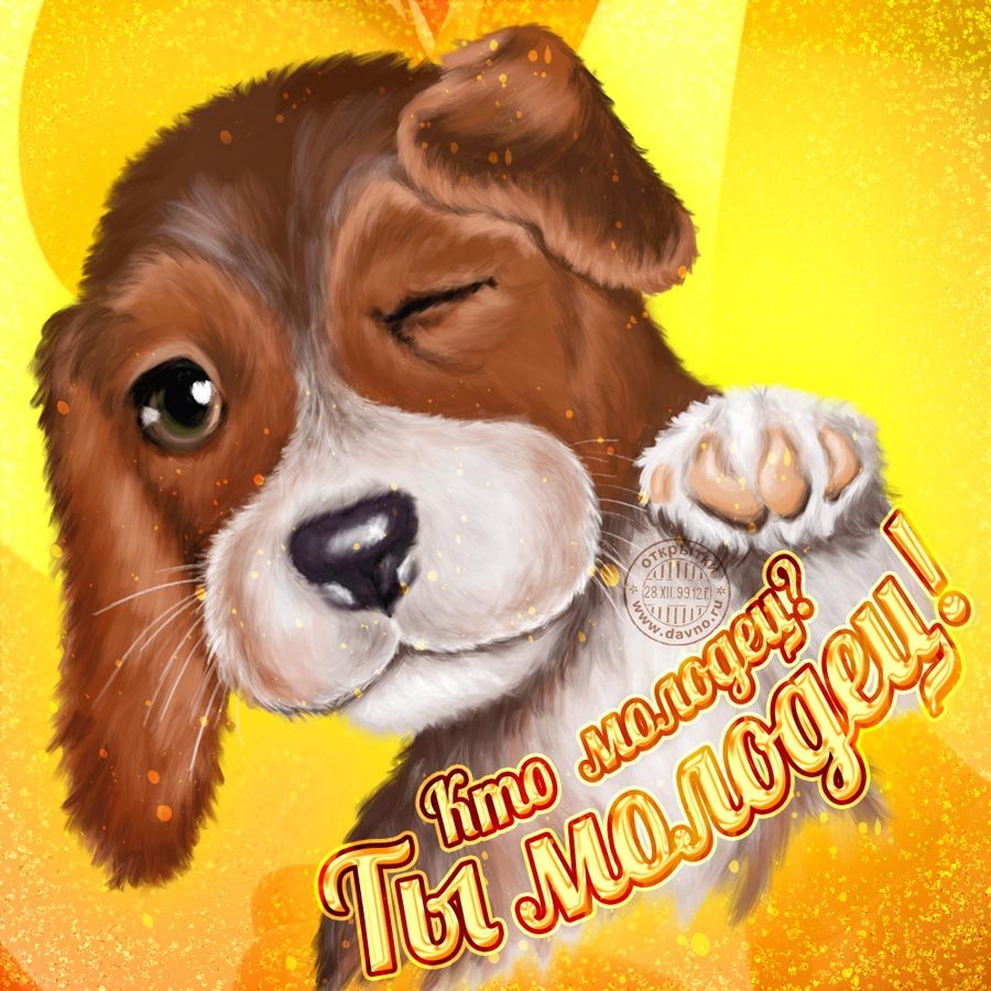 Открытки с днём рождения с собаками