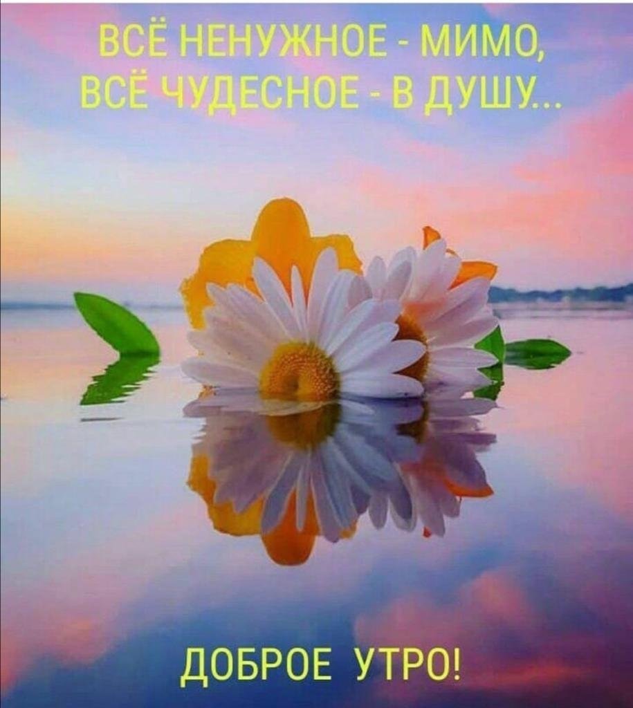 Цитаты про утро