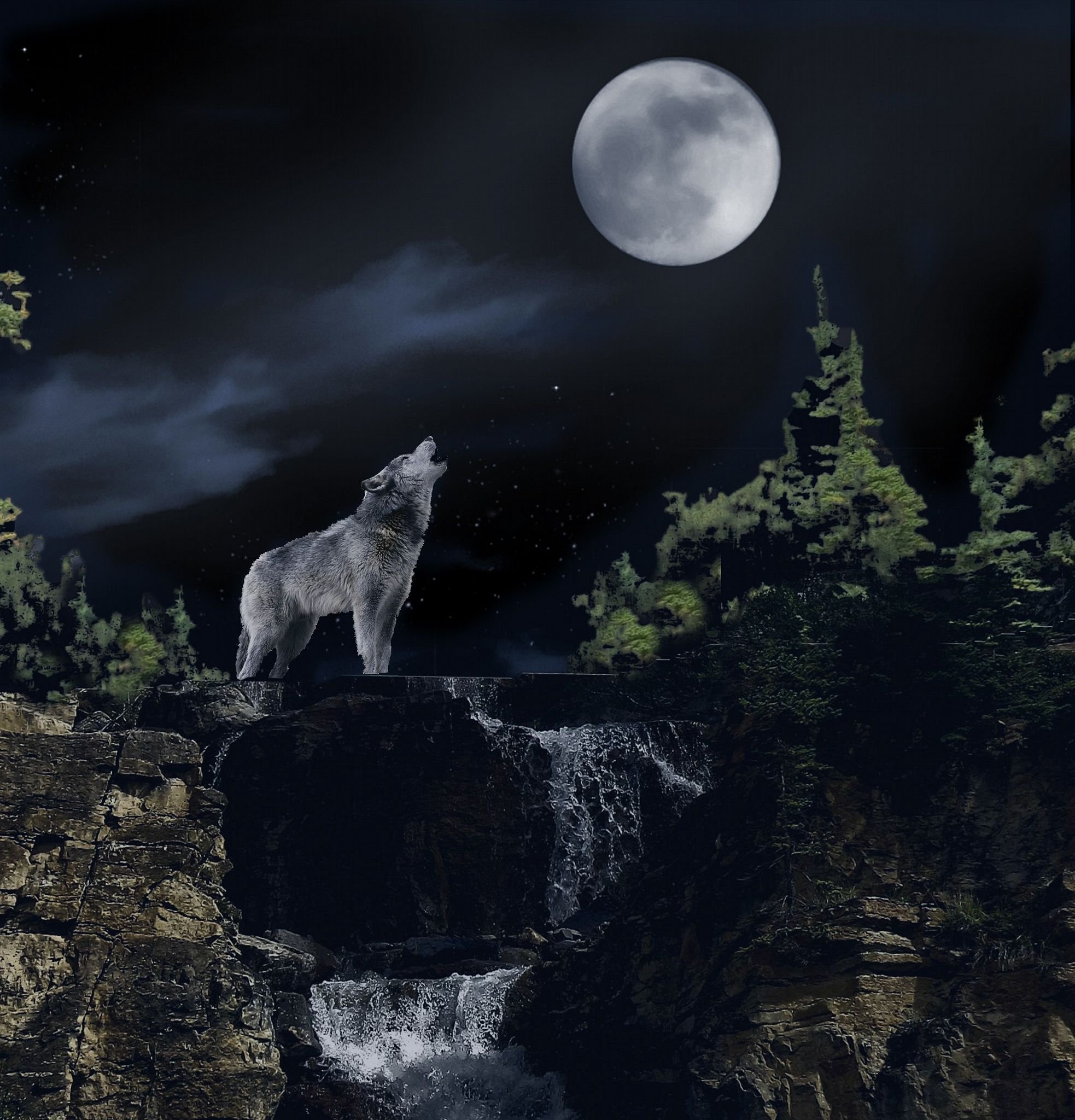 Вой волка на луну песня. Волк в ночи. Ночные волки. Волк воет на луну. Полнолуние волк.