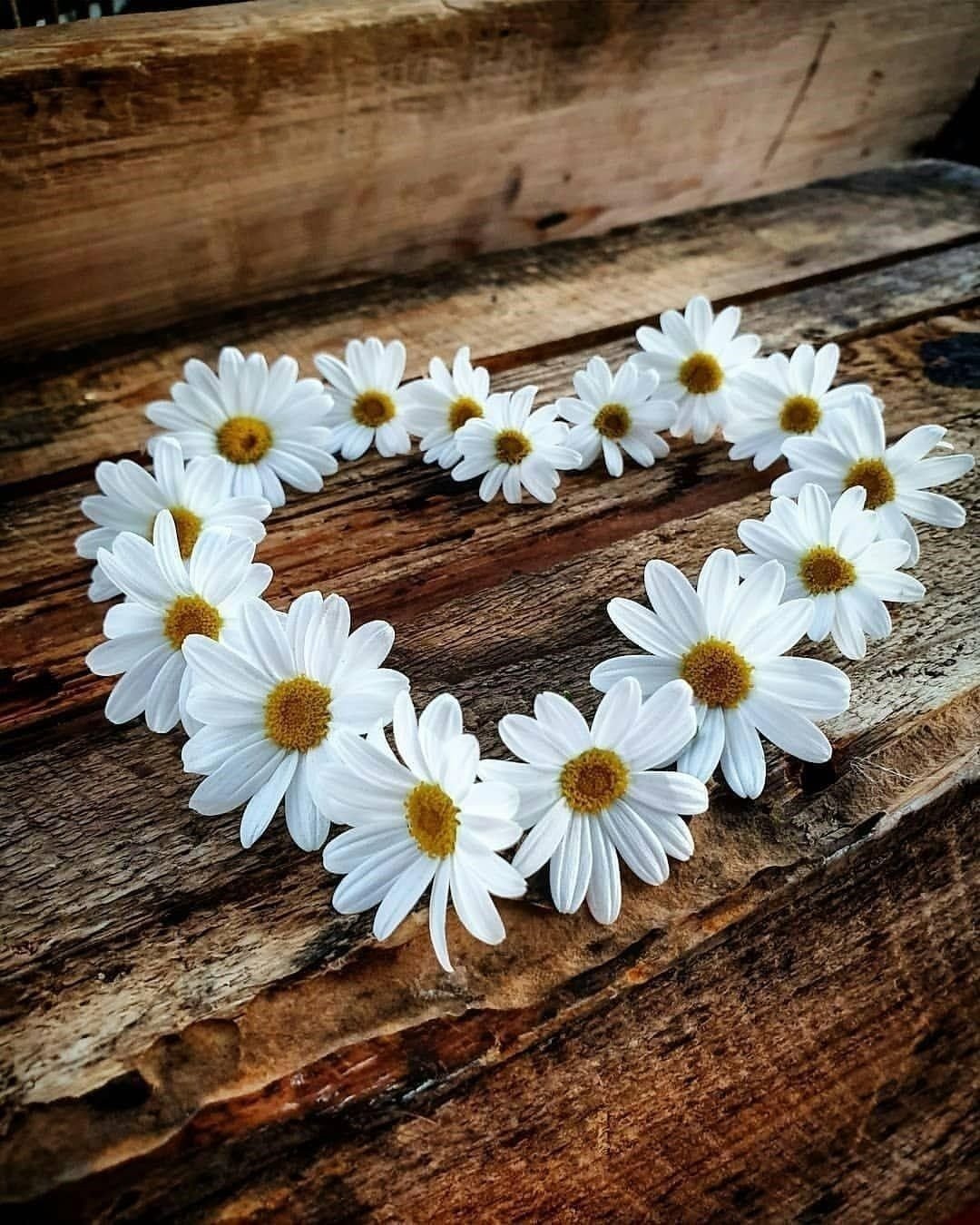 Романтичная Ромашка