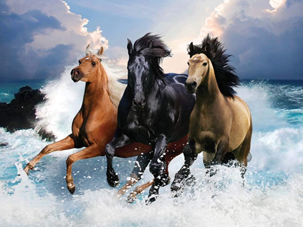 Обои на рабочий стол белый конь