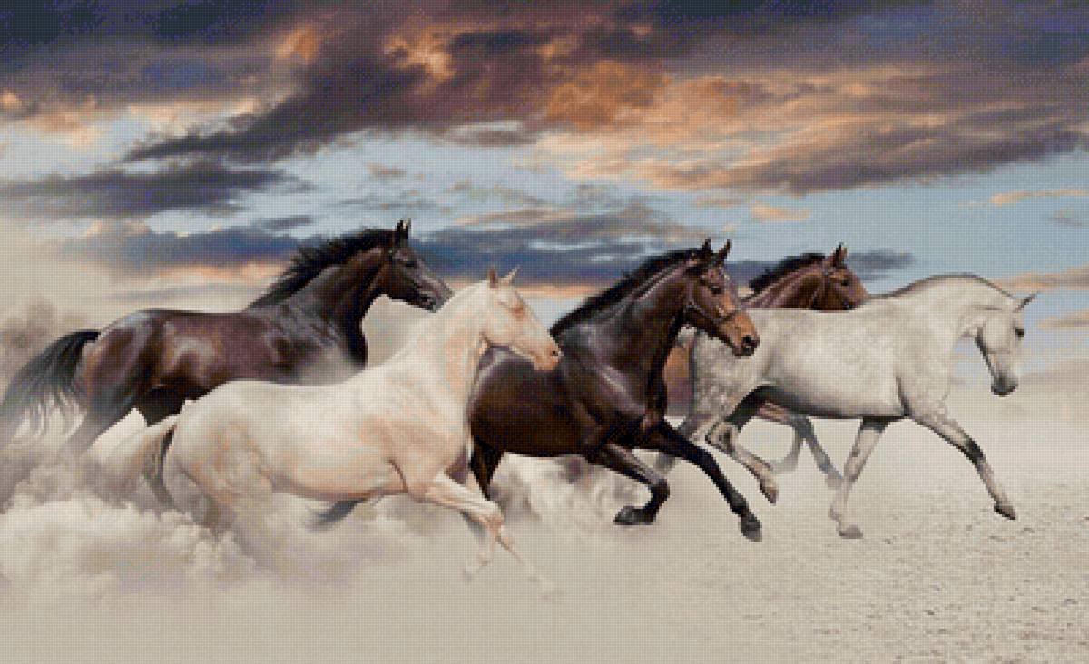 Табун белых лошадей