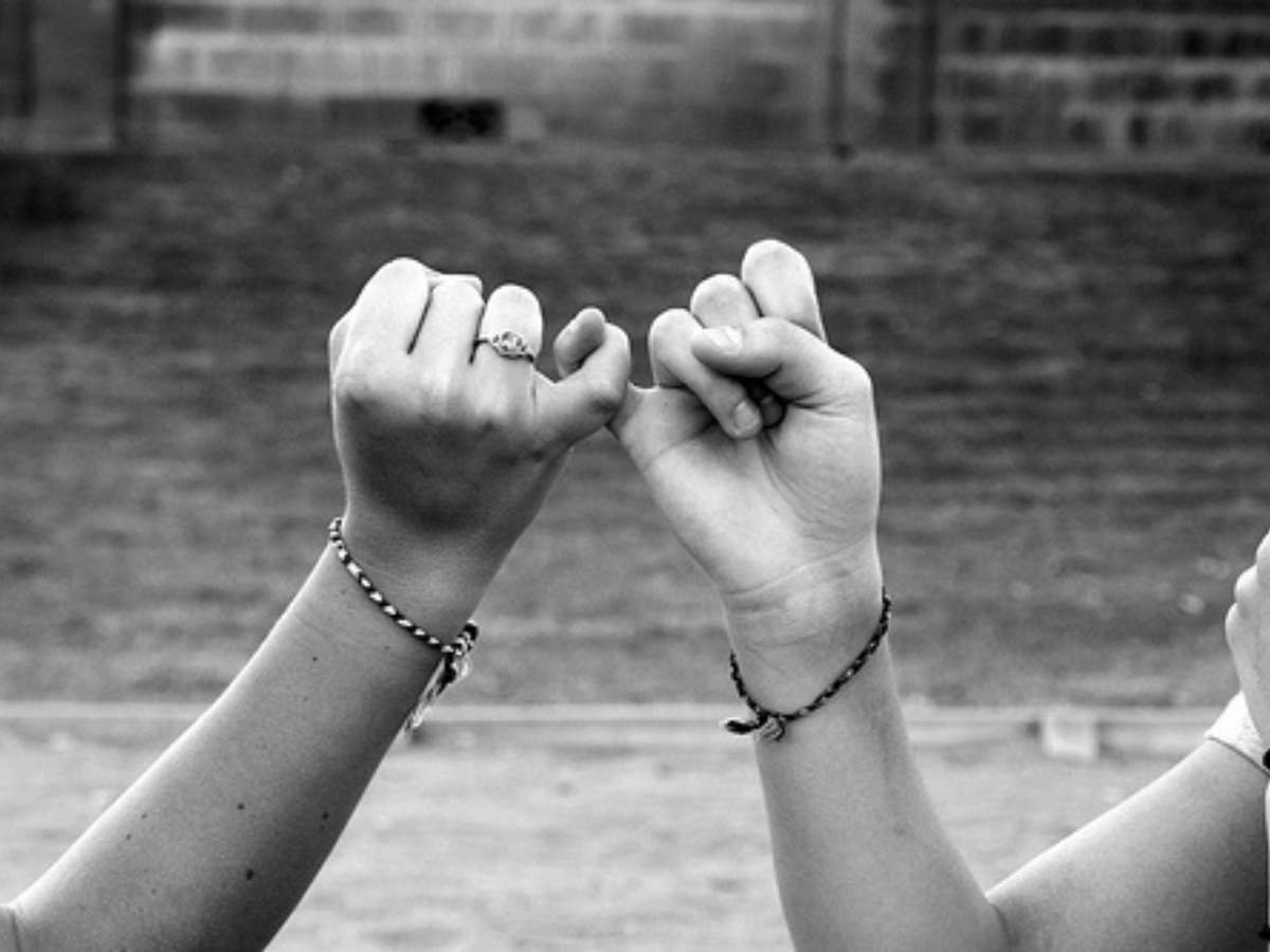 Друзья навеки