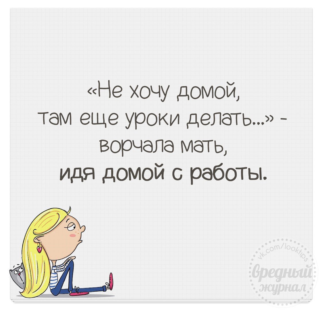 Котятам нужен дом