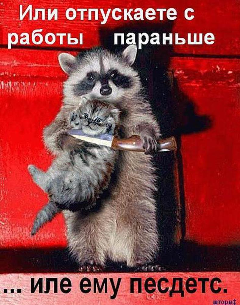 Уютные иллюстрации