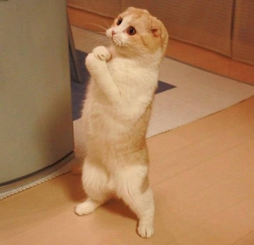 Мотивирующие фразы