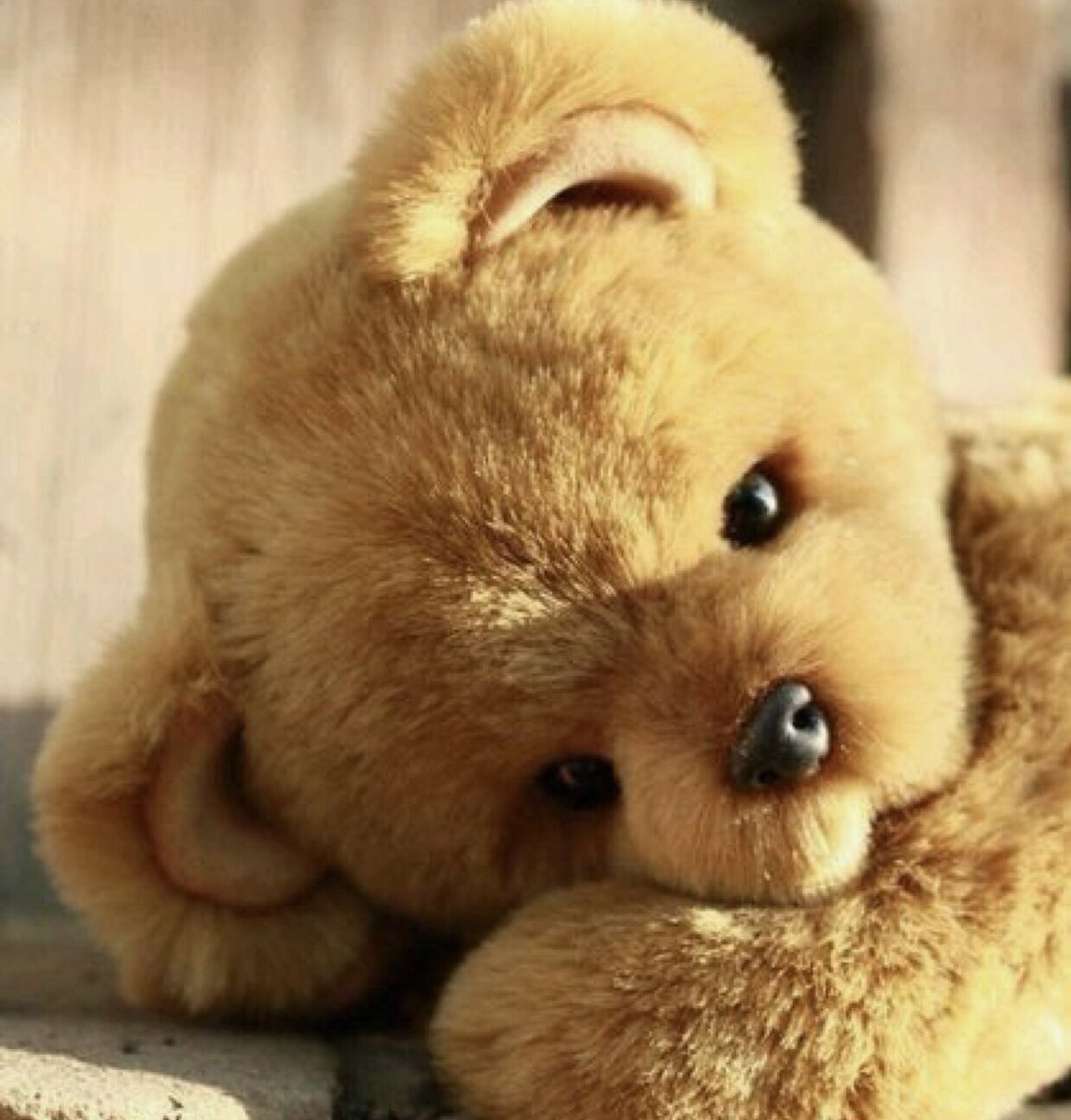 Одинокий плюшевый мишка