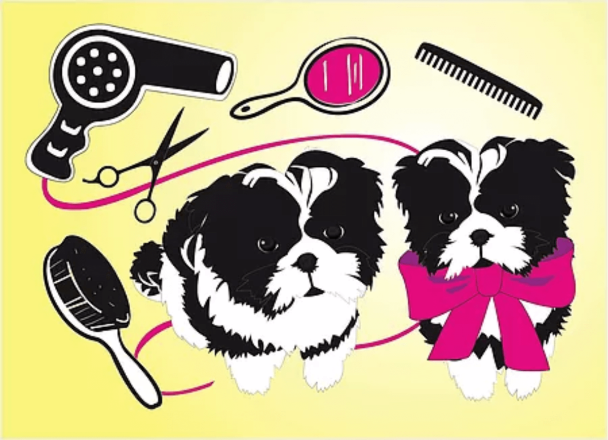 Собака и кошка в салоне красоты