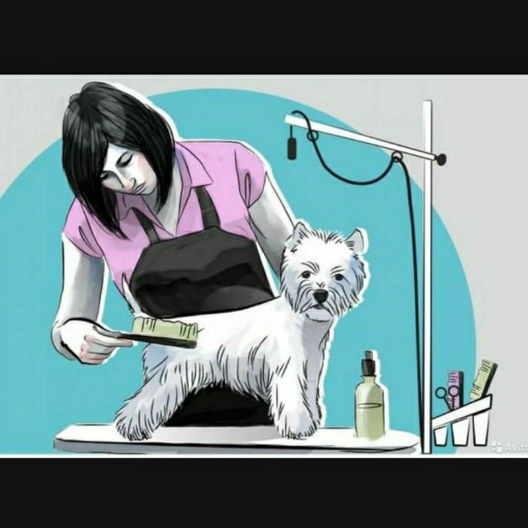 Стрижка животных