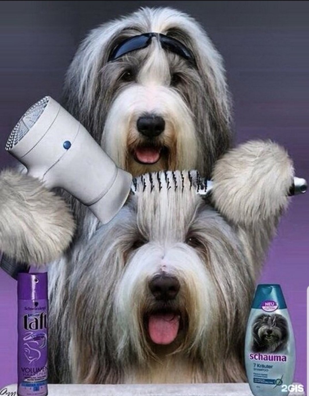 Розовая собака