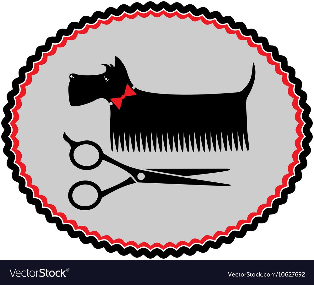 Шпиц в полотенце