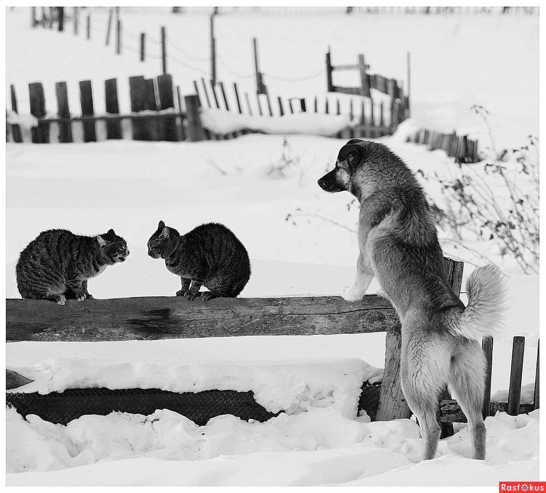 Против меня дружить