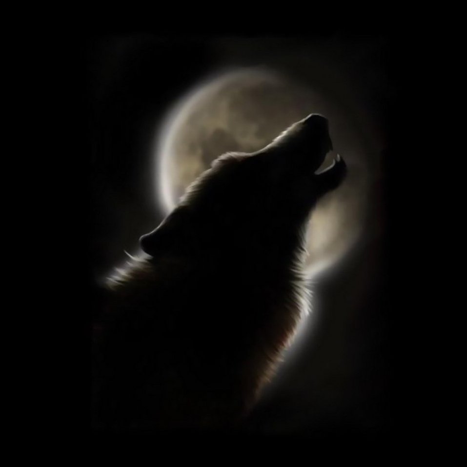 Одинокая волчица картинки