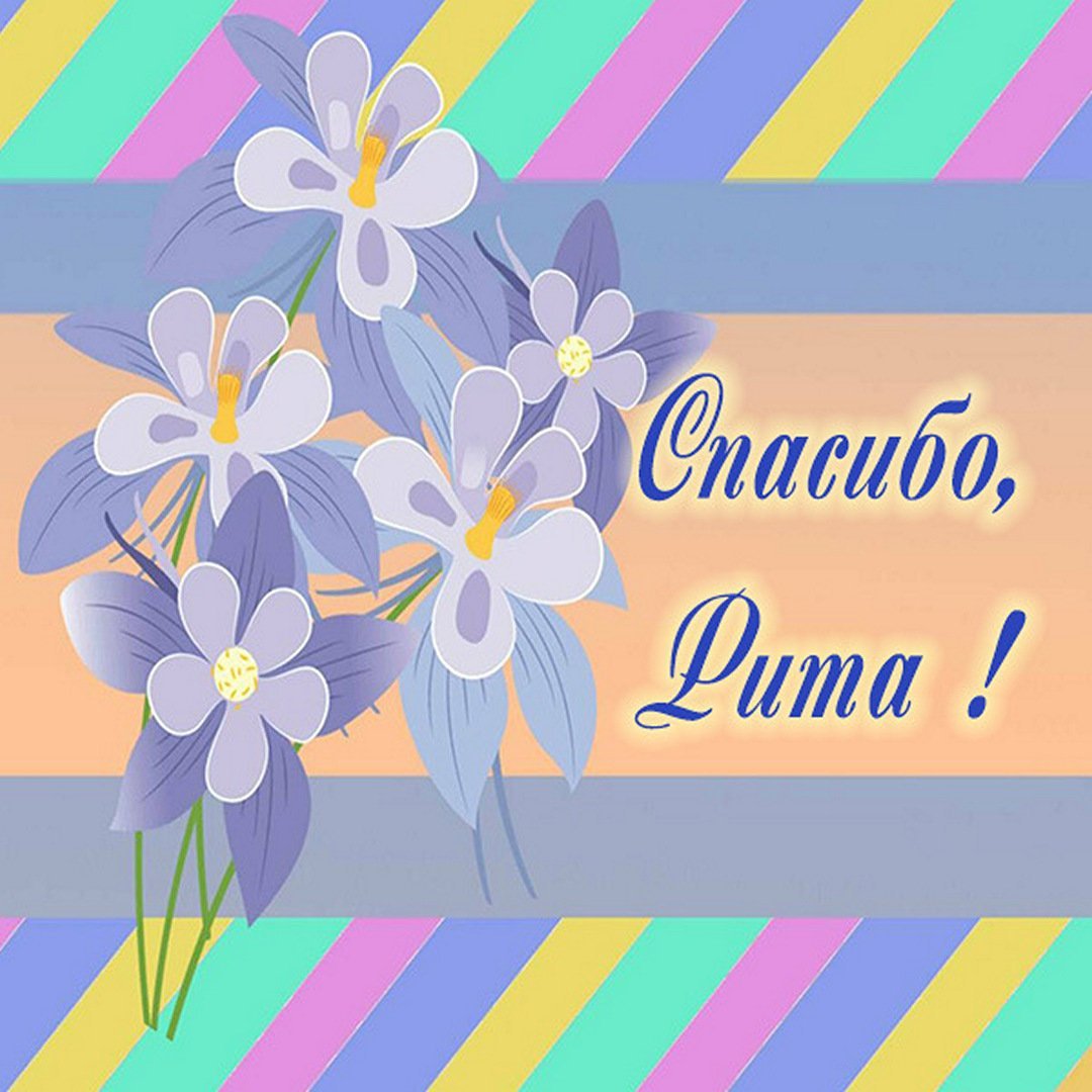 Спасибо Зиночка открытка