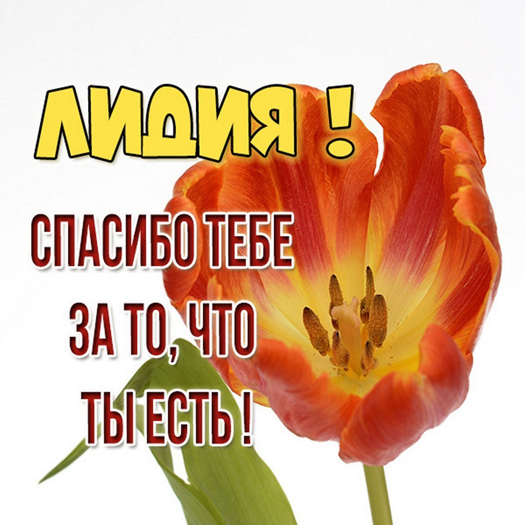 Цветы для Риммы