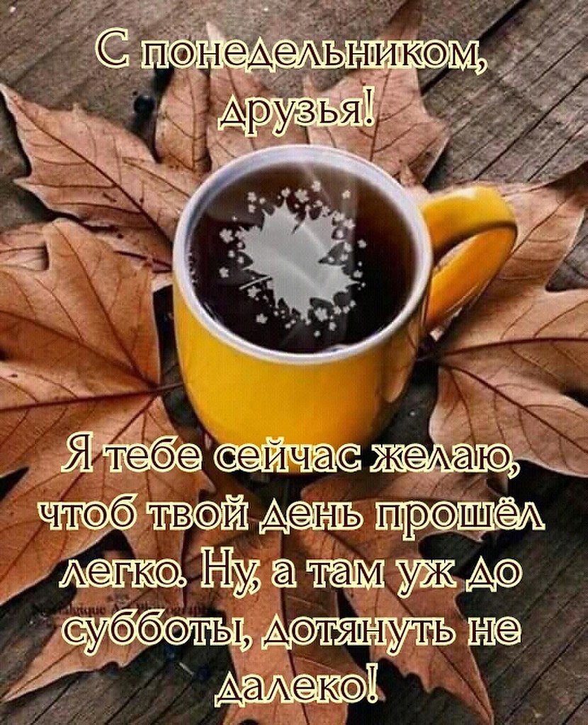 Пожелания с добрым утром понедельника