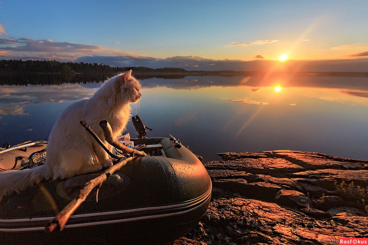 Парень с удочкой