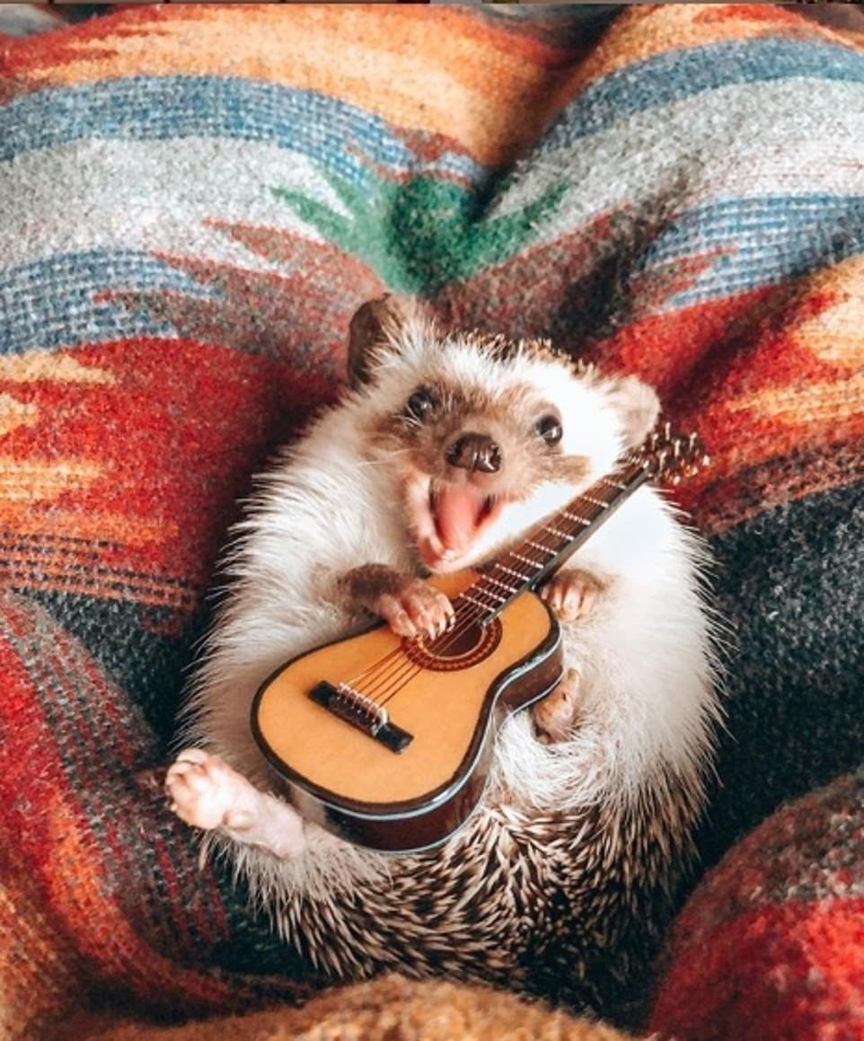 С днём рождения гитаристу