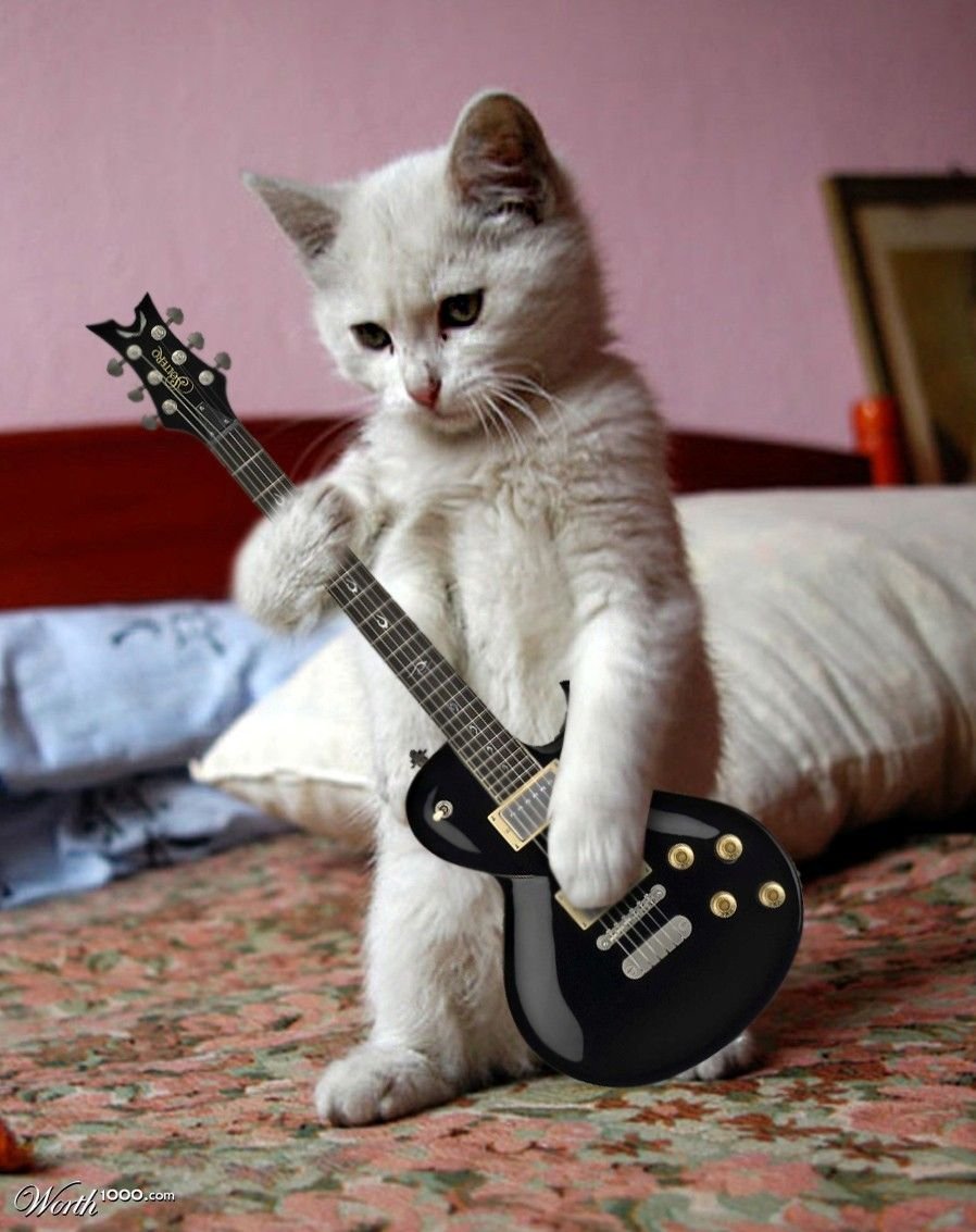 Николай котов гитарист