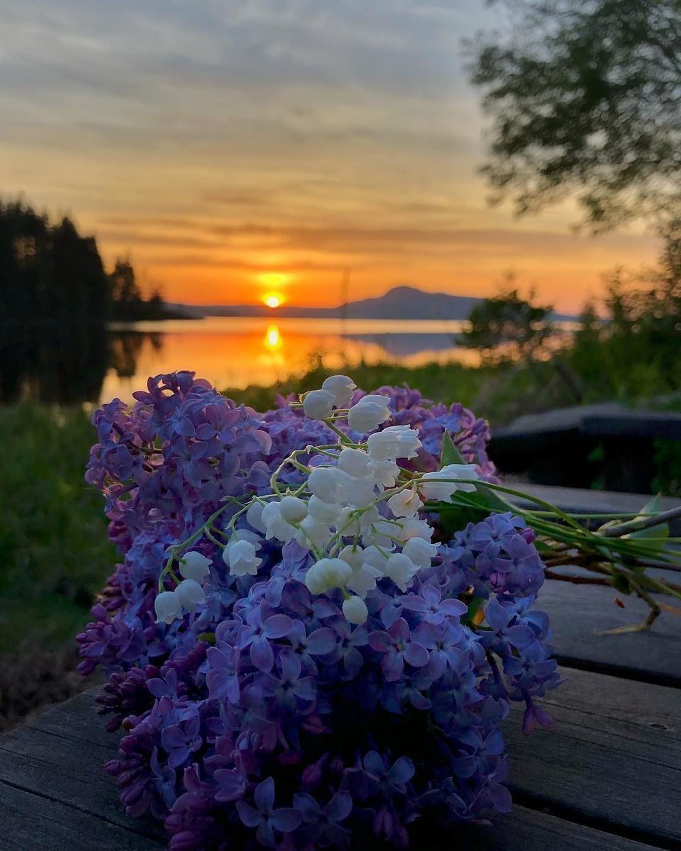 Весна вечер