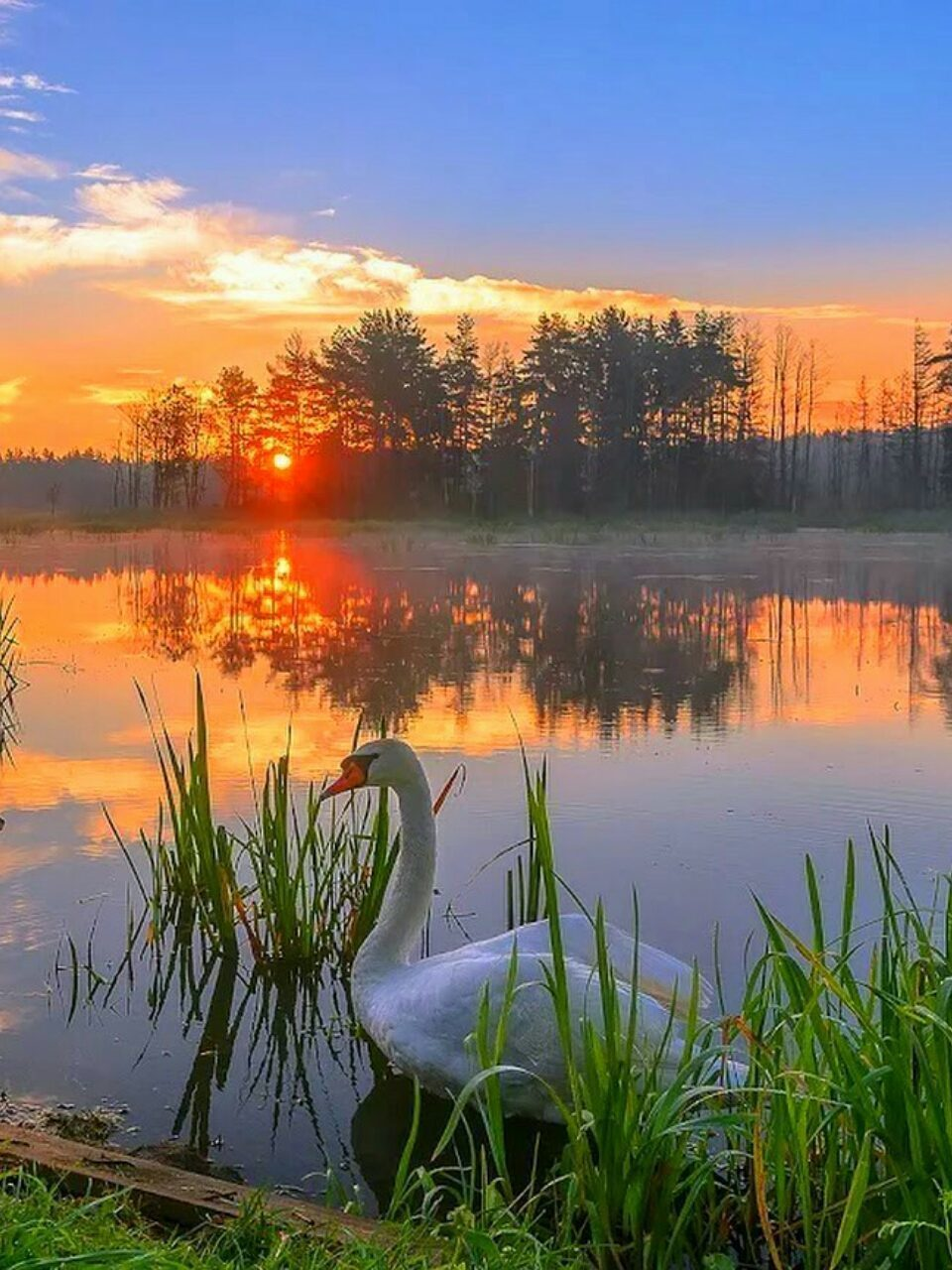 Рассвет над озером