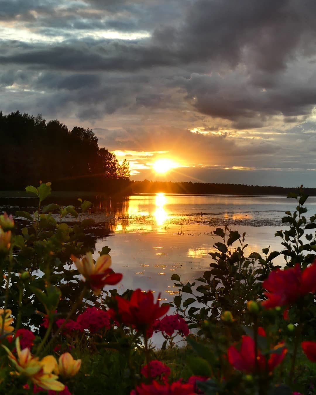 Природа вечер