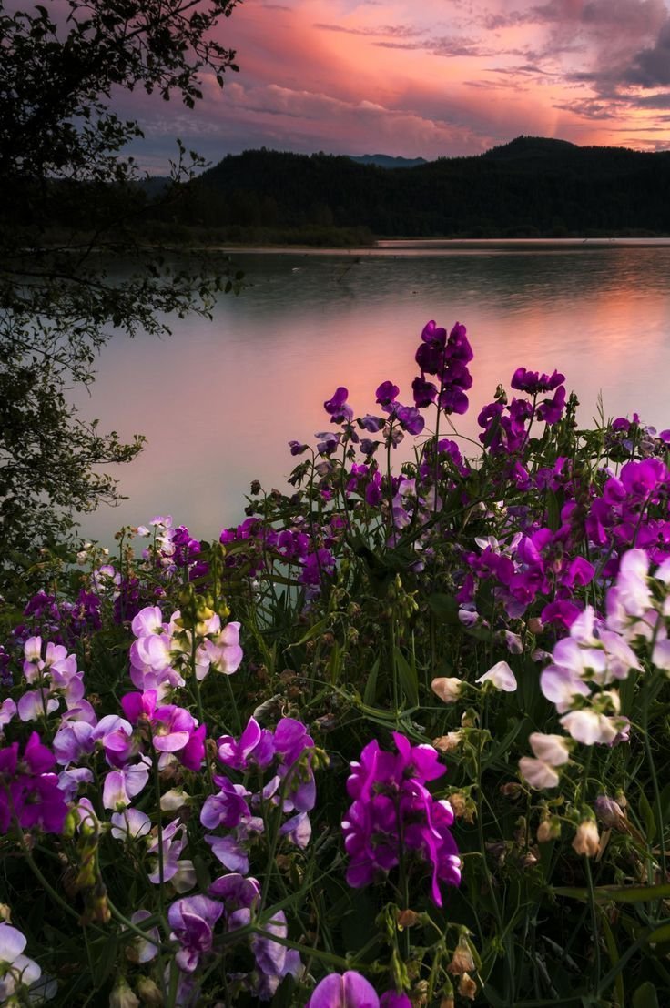 Добрый вечер природа