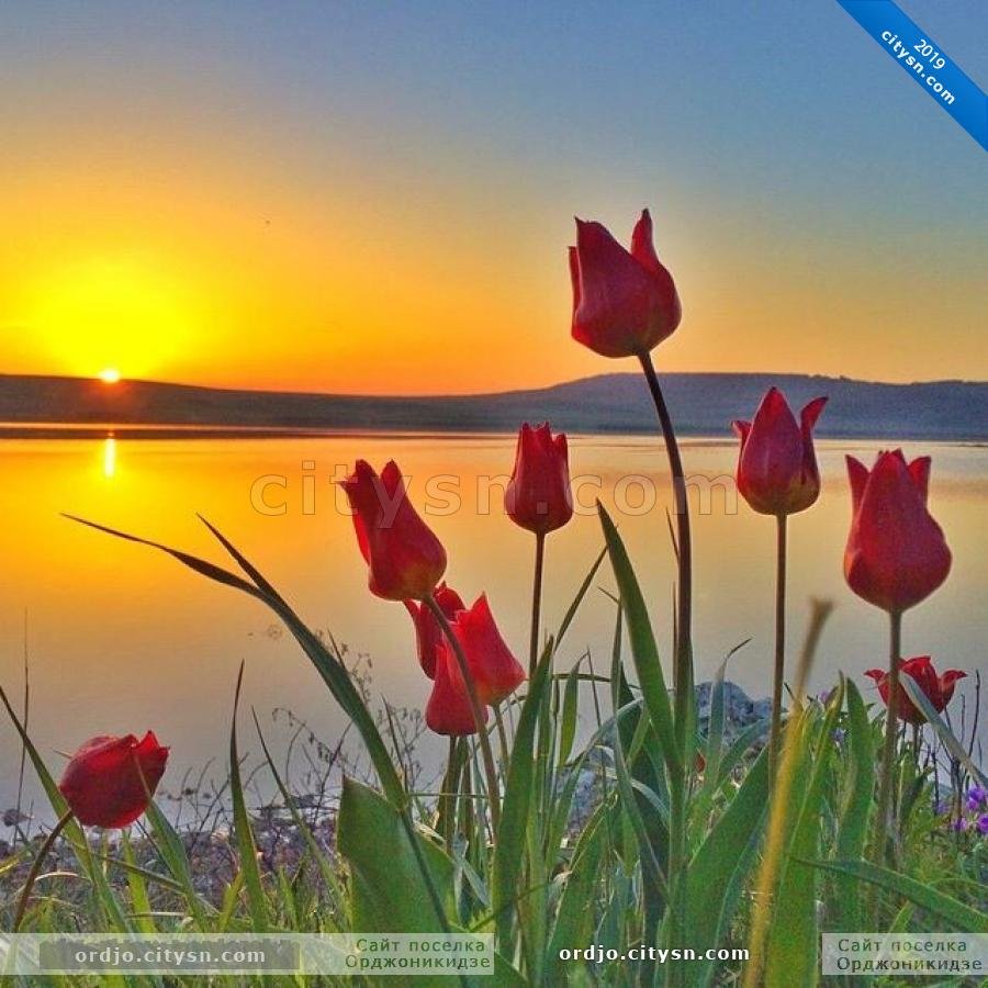 Добрый вечер Весна природа закат