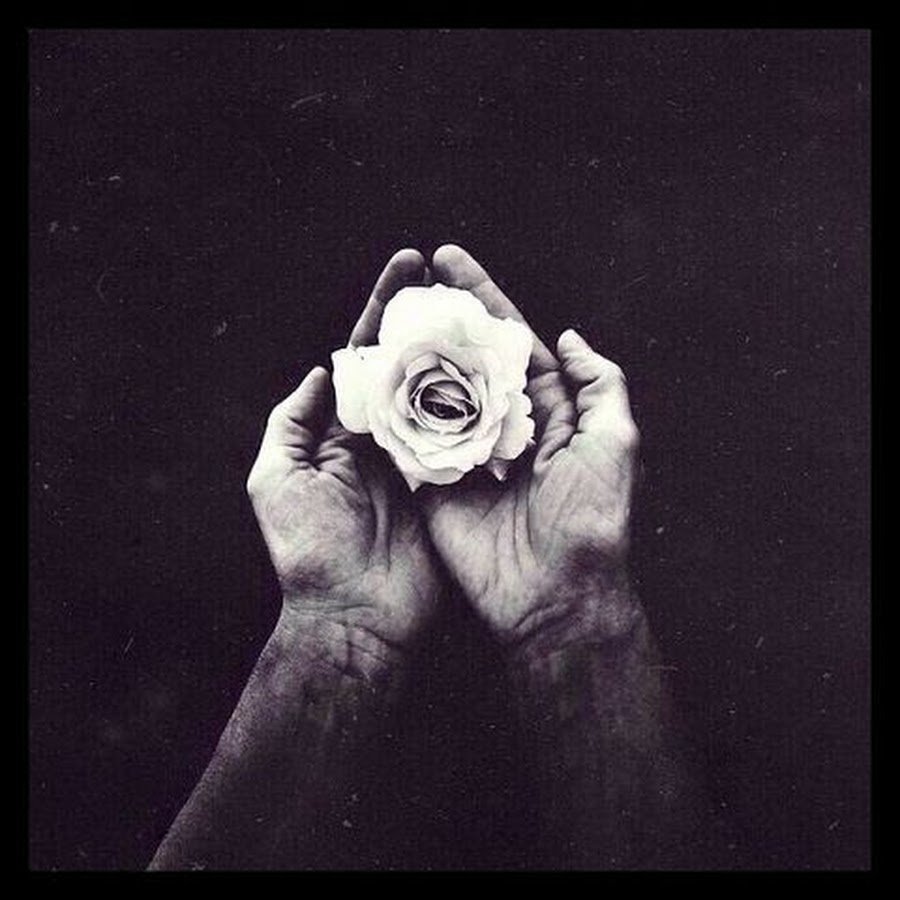 Психологические высказывания