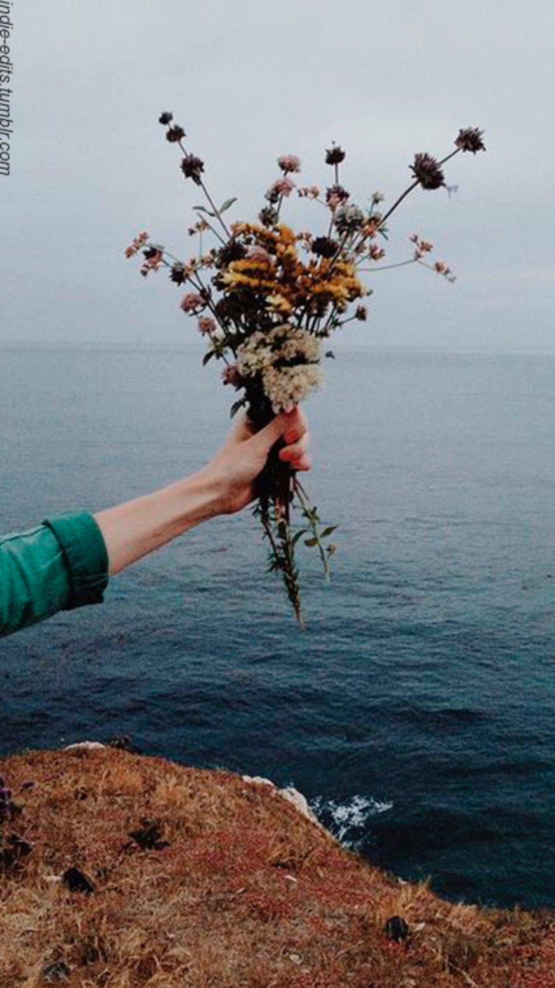 Держаться за руки цитаты