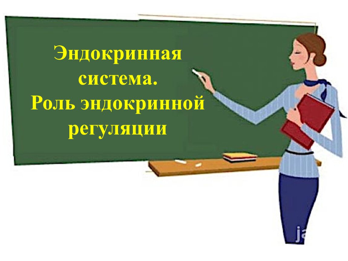 Учитель иллюстрация
