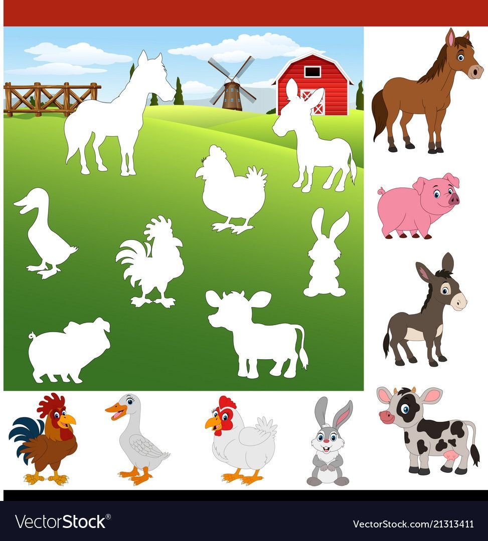 Домашние животные тени