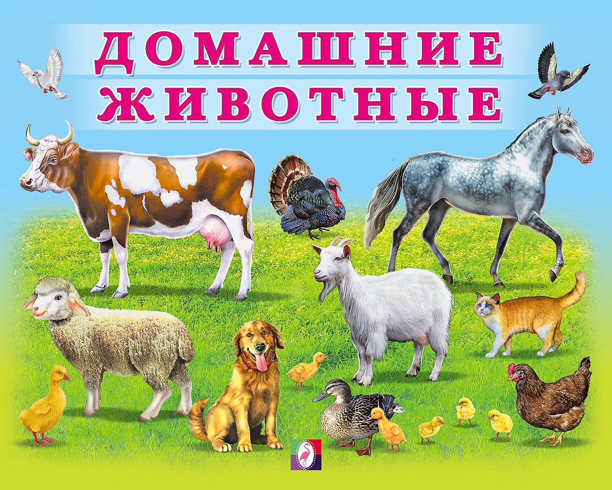 Малыши. Домашние животные