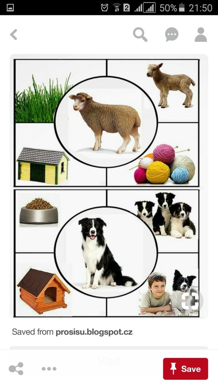 Дидактическая игра домашние животные