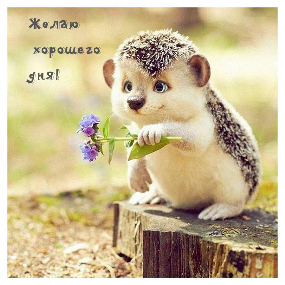 Позитивчик для хорошего настроения