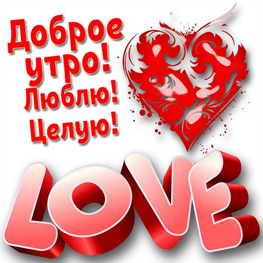 Доброе утро люблю целую