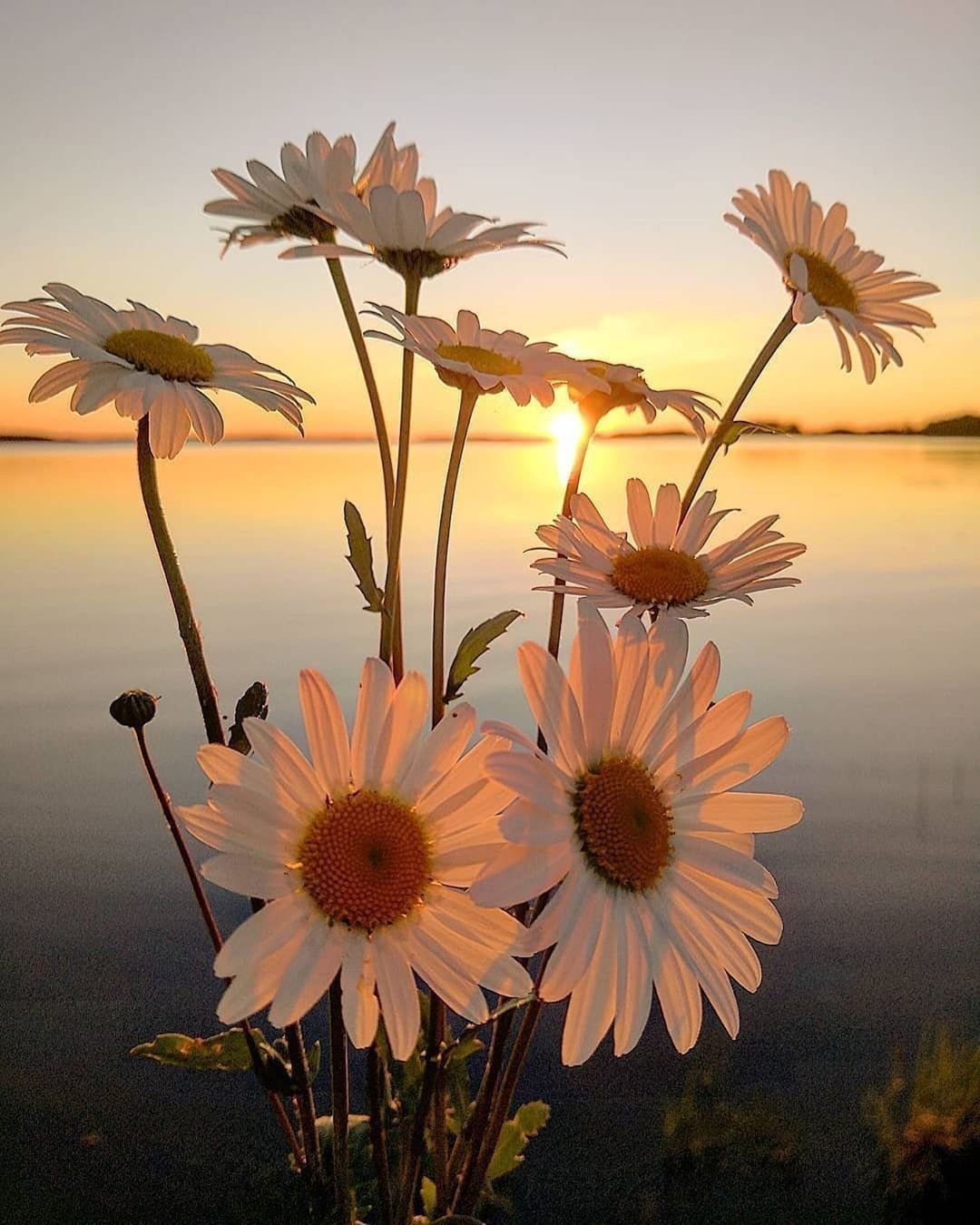 Добрый вечер красивые необычные