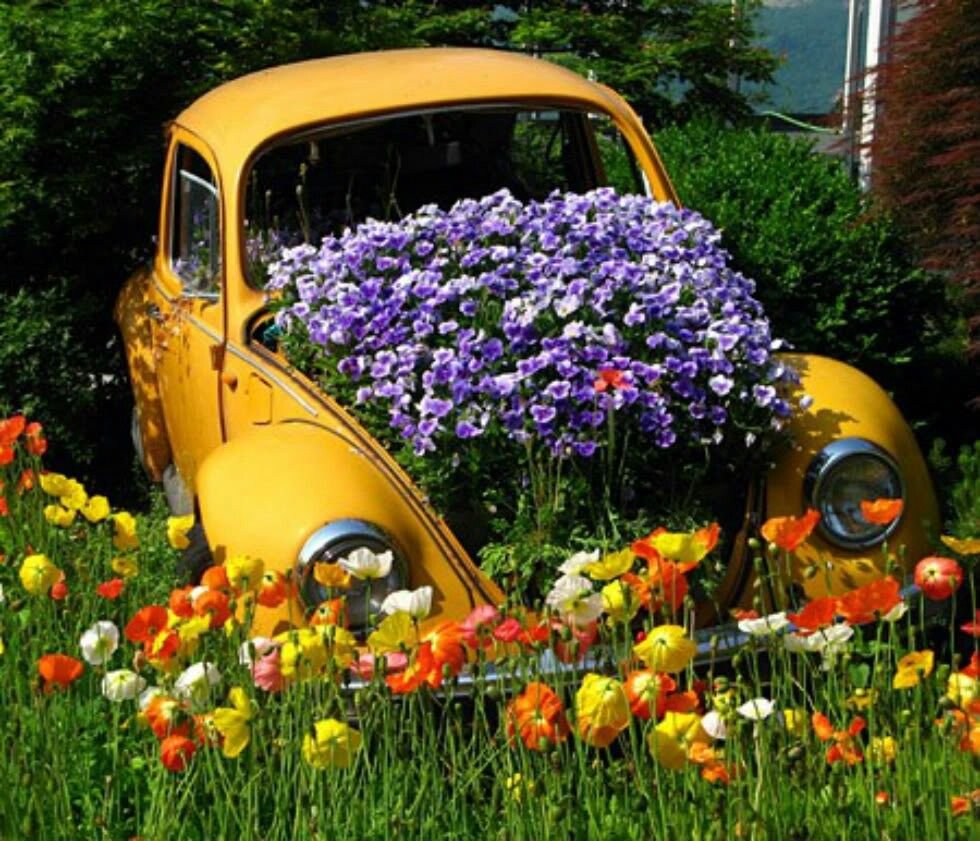 Автомобиль с цветами