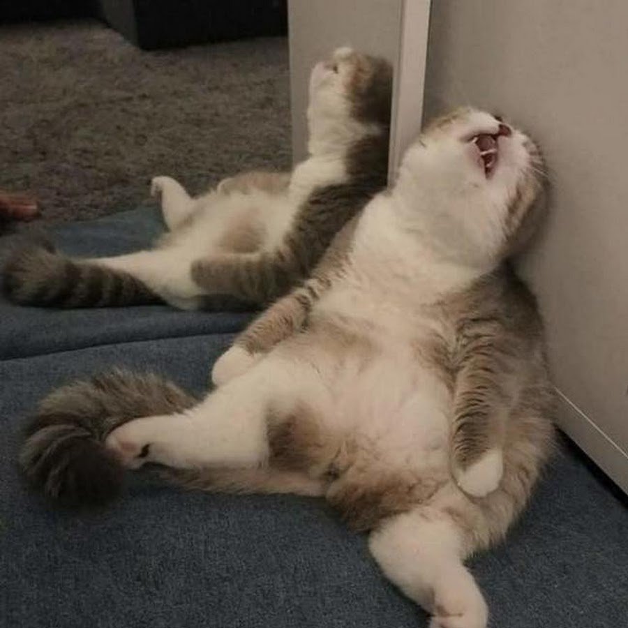 Доброе утро снова на работу