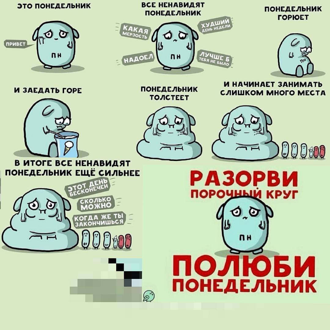 Кот утром в понедельник