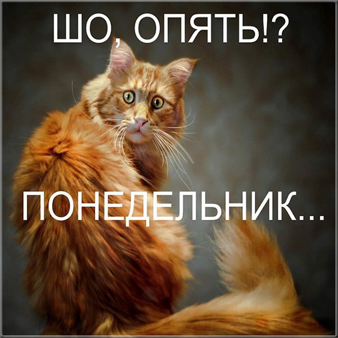 И снова понедельник