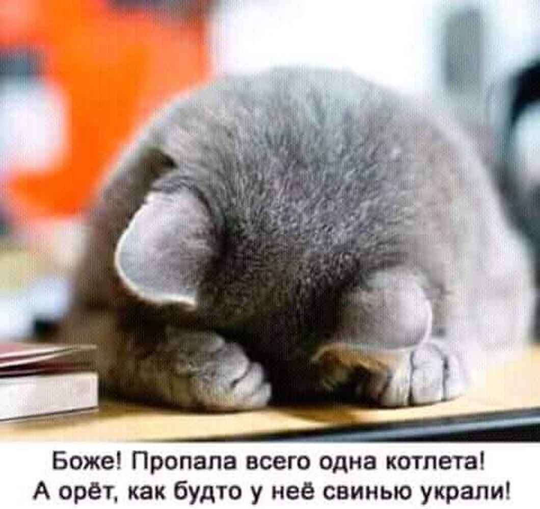 Статус на понедельник прикольные картинки