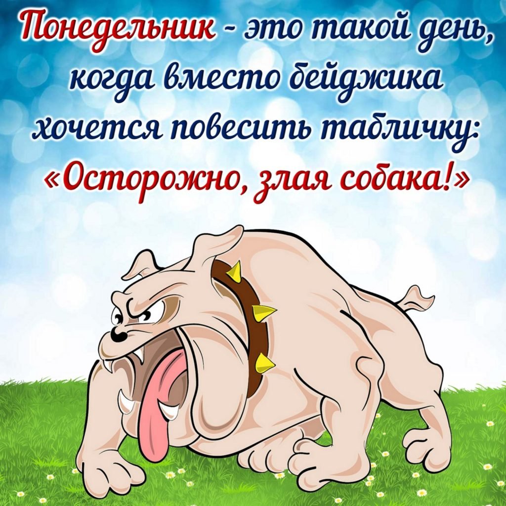 Утро понедельника приколы