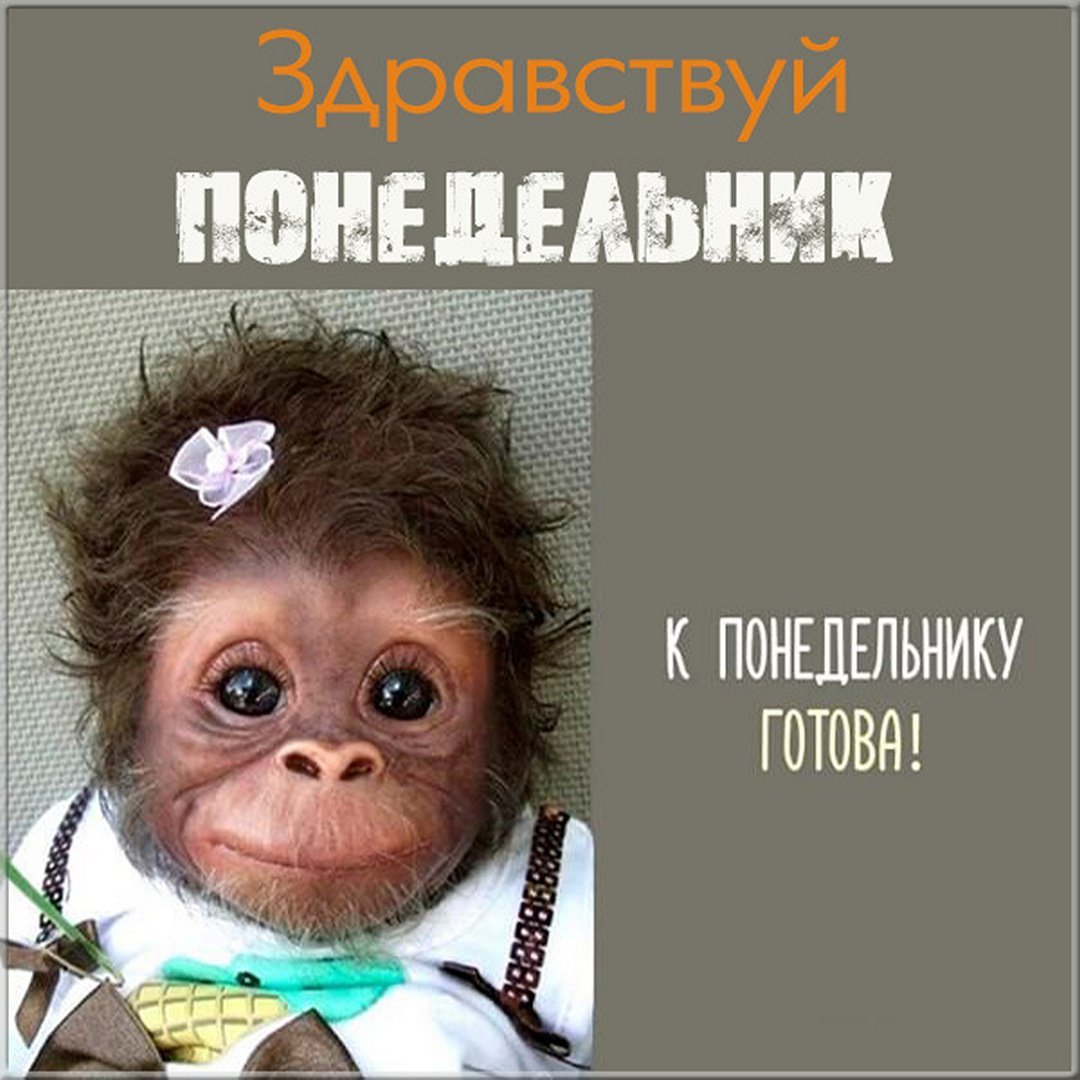 Завтра понедельник и снова