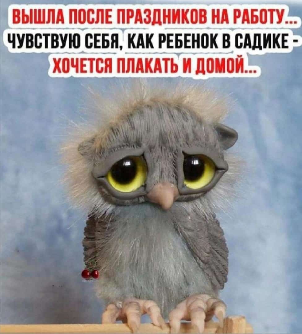 Завтра понедельник