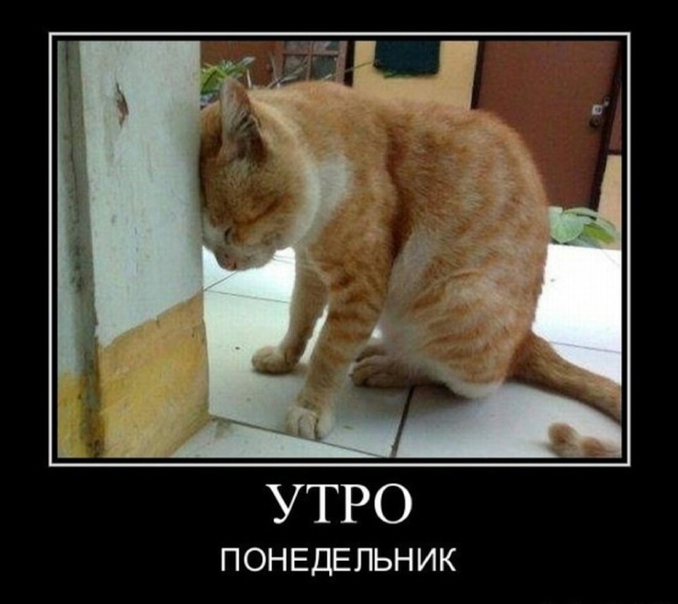 Мудрость приходит с опытом