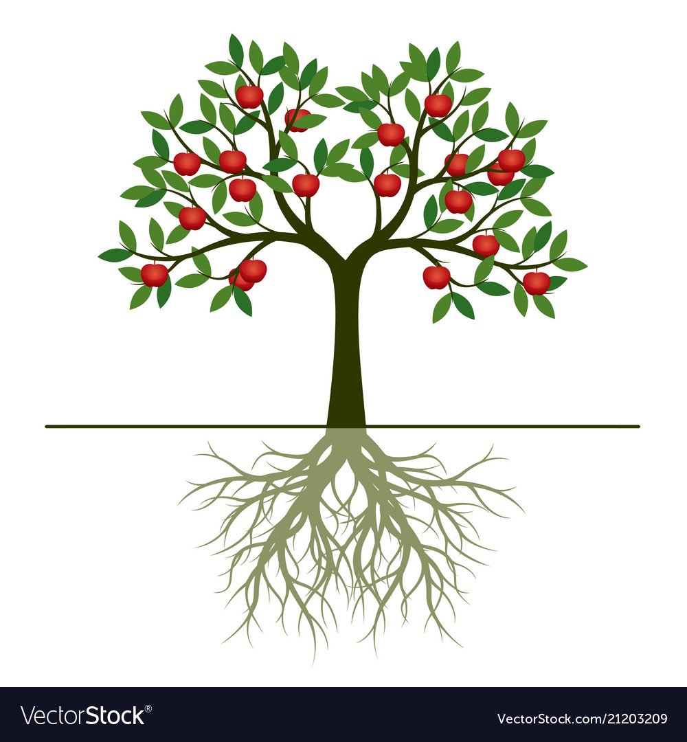 Вишневое дерево цикл