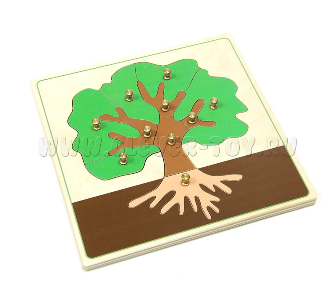 Строение дерева карточки